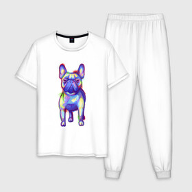 Мужская пижама хлопок с принтом Французский бульдог акварель в Курске, 100% хлопок | брюки и футболка прямого кроя, без карманов, на брюках мягкая резинка на поясе и по низу штанин
 | art | bulldog | colorful | dog | france | french | illustration | watercolor | акварельный | акварелью | арт | брызги | бульдожик | бульдожка | иллюстрация | краски | пес | песик | порода | разводы | разноцветный | рисунок | собака