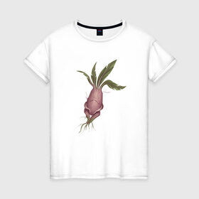 Женская футболка хлопок с принтом Мандрагора в Курске, 100% хлопок | прямой крой, круглый вырез горловины, длина до линии бедер, слегка спущенное плечо | корни | листочки | растение | фэнтези