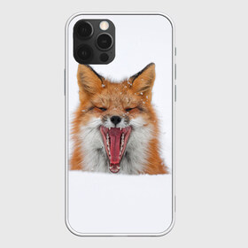 Чехол для iPhone 12 Pro Max с принтом Снежная лиса в Курске, Силикон |  | Тематика изображения на принте: fox | foxy | животное | звери | лиса | лисенок | лисичка | милая | рыжая | фокс