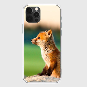 Чехол для iPhone 12 Pro Max с принтом Лиса в Курске, Силикон |  | fox | foxy | животное | звери | лиса | лисенок | лисичка | милая | рыжая | фокс