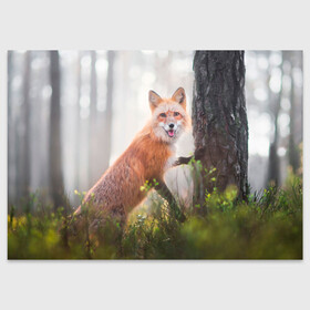 Поздравительная открытка с принтом Лисица в Курске, 100% бумага | плотность бумаги 280 г/м2, матовая, на обратной стороне линовка и место для марки
 | Тематика изображения на принте: fox | foxy | животное | звери | лиса | лисенок | лисичка | милая | рыжая | фокс