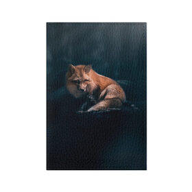 Обложка для паспорта матовая кожа с принтом Мудрый лис в Курске, натуральная матовая кожа | размер 19,3 х 13,7 см; прозрачные пластиковые крепления | fox | foxy | животное | звери | лиса | лисенок | лисичка | милая | рыжая | фокс