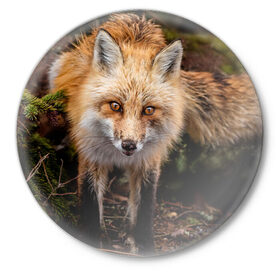 Значок с принтом Лиса в Курске,  металл | круглая форма, металлическая застежка в виде булавки | fox | foxy | животное | звери | лиса | лисенок | лисичка | милая | рыжая | фокс