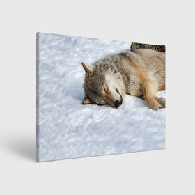 Холст прямоугольный с принтом Спящий Волк в Курске, 100% ПВХ |  | animals | wolf | волк | волки | животные | звери | зверь | одиночество | одиночка | пёс | собака | спящий волк