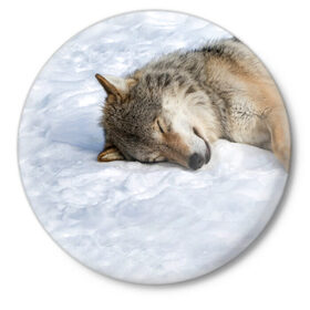 Значок с принтом Спящий Волк в Курске,  металл | круглая форма, металлическая застежка в виде булавки | animals | wolf | волк | волки | животные | звери | зверь | одиночество | одиночка | пёс | собака | спящий волк