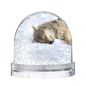 Снежный шар с принтом Спящий Волк в Курске, Пластик | Изображение внутри шара печатается на глянцевой фотобумаге с двух сторон | animals | wolf | волк | волки | животные | звери | зверь | одиночество | одиночка | пёс | собака | спящий волк