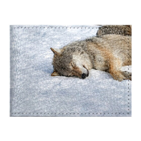 Обложка для студенческого билета с принтом Спящий Волк в Курске, натуральная кожа | Размер: 11*8 см; Печать на всей внешней стороне | Тематика изображения на принте: animals | wolf | волк | волки | животные | звери | зверь | одиночество | одиночка | пёс | собака | спящий волк