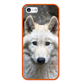 Чехол для iPhone 5/5S матовый с принтом Волк в Курске, Силикон | Область печати: задняя сторона чехла, без боковых панелей | animals | wolf | волк | волки | животные | звери | зверь | луна | одиночество | одиночка | пёс | собака