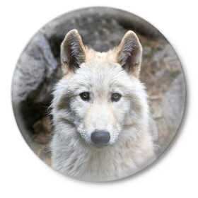 Значок с принтом Волк в Курске,  металл | круглая форма, металлическая застежка в виде булавки | animals | wolf | волк | волки | животные | звери | зверь | луна | одиночество | одиночка | пёс | собака