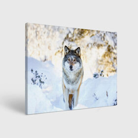 Холст прямоугольный с принтом Я зимой в Курске, 100% ПВХ |  | animals | wolf | волк | волки | животные | звери | зверь | луна | одиночество | одиночка | пёс | собака