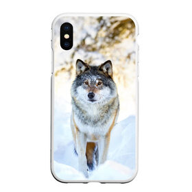 Чехол для iPhone XS Max матовый с принтом Я зимой в Курске, Силикон | Область печати: задняя сторона чехла, без боковых панелей | animals | wolf | волк | волки | животные | звери | зверь | луна | одиночество | одиночка | пёс | собака