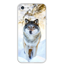 Чехол для iPhone 5/5S матовый с принтом Я зимой в Курске, Силикон | Область печати: задняя сторона чехла, без боковых панелей | animals | wolf | волк | волки | животные | звери | зверь | луна | одиночество | одиночка | пёс | собака