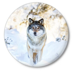 Значок с принтом Я зимой в Курске,  металл | круглая форма, металлическая застежка в виде булавки | animals | wolf | волк | волки | животные | звери | зверь | луна | одиночество | одиночка | пёс | собака