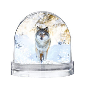 Снежный шар с принтом Я зимой в Курске, Пластик | Изображение внутри шара печатается на глянцевой фотобумаге с двух сторон | animals | wolf | волк | волки | животные | звери | зверь | луна | одиночество | одиночка | пёс | собака