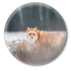Значок с принтом Лиса в Курске,  металл | круглая форма, металлическая застежка в виде булавки | fox | foxy | животное | звери | лиса | лисенок | лисичка | милая | рыжая | фокс