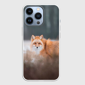 Чехол для iPhone 13 Pro с принтом Лиса в Курске,  |  | fox | foxy | животное | звери | лиса | лисенок | лисичка | милая | рыжая | фокс