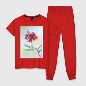 Женская пижама хлопок с принтом Пион в Курске, 100% хлопок | брюки и футболка прямого кроя, без карманов, на брюках мягкая резинка на поясе и по низу штанин | tgcarpg | акварель | живопись | искусство | красный | пион | цветок