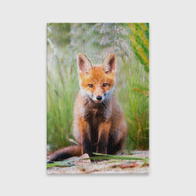 Обложка для паспорта матовая кожа с принтом Лисичка в Курске, натуральная матовая кожа | размер 19,3 х 13,7 см; прозрачные пластиковые крепления | Тематика изображения на принте: fox | foxy | животное | звери | лиса | лисенок | лисичка | милая | рыжая | фокс
