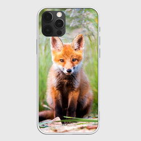 Чехол для iPhone 12 Pro Max с принтом Лисичка в Курске, Силикон |  | fox | foxy | животное | звери | лиса | лисенок | лисичка | милая | рыжая | фокс