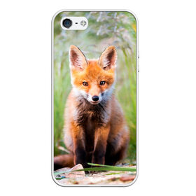 Чехол для iPhone 5/5S матовый с принтом Лисичка в Курске, Силикон | Область печати: задняя сторона чехла, без боковых панелей | Тематика изображения на принте: fox | foxy | животное | звери | лиса | лисенок | лисичка | милая | рыжая | фокс