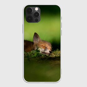 Чехол для iPhone 12 Pro Max с принтом Сонный лисенок в Курске, Силикон |  | Тематика изображения на принте: fox | foxy | животное | звери | лиса | лисенок | лисичка | милая | рыжая | фокс