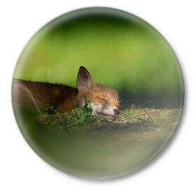 Значок с принтом Сонный лисенок в Курске,  металл | круглая форма, металлическая застежка в виде булавки | fox | foxy | животное | звери | лиса | лисенок | лисичка | милая | рыжая | фокс