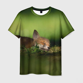 Мужская футболка 3D с принтом Сонный лисенок в Курске, 100% полиэфир | прямой крой, круглый вырез горловины, длина до линии бедер | fox | foxy | животное | звери | лиса | лисенок | лисичка | милая | рыжая | фокс