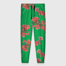 Женские брюки 3D с принтом Цветы айвы на зеленом фоне в Курске, полиэстер 100% | прямой крой, два кармана без застежек по бокам, с мягкой трикотажной резинкой на поясе и по низу штанин. В поясе для дополнительного комфорта — широкие завязки | 8 марта | flowers | summer | айва | ботаническая иллюстрация | весна | ветки | зеленый | коричневый | красный | лето | любовь | праздник | принт | природа | растения | цветы
