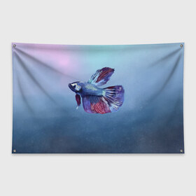 Флаг-баннер с принтом Рыбка в Курске, 100% полиэстер | размер 67 х 109 см, плотность ткани — 95 г/м2; по краям флага есть четыре люверса для крепления | tegunvteg | акварель | аквариумнаярыбка | вода | петушок | рыбка