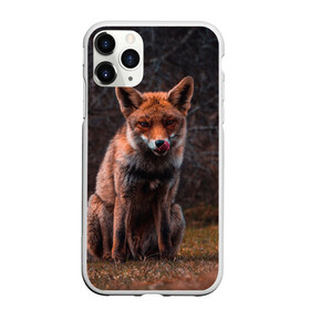 Чехол для iPhone 11 Pro матовый с принтом Хищная лисица в Курске, Силикон |  | Тематика изображения на принте: fox | foxy | животное | звери | лиса | лисенок | лисичка | милая | рыжая | фокс