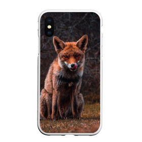 Чехол для iPhone XS Max матовый с принтом Хищная лисица в Курске, Силикон | Область печати: задняя сторона чехла, без боковых панелей | Тематика изображения на принте: fox | foxy | животное | звери | лиса | лисенок | лисичка | милая | рыжая | фокс