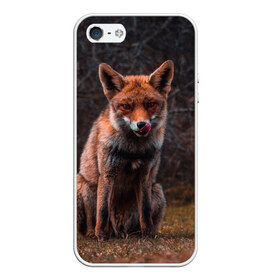 Чехол для iPhone 5/5S матовый с принтом Хищная лисица в Курске, Силикон | Область печати: задняя сторона чехла, без боковых панелей | Тематика изображения на принте: fox | foxy | животное | звери | лиса | лисенок | лисичка | милая | рыжая | фокс