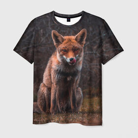 Мужская футболка 3D с принтом Хищная лисица в Курске, 100% полиэфир | прямой крой, круглый вырез горловины, длина до линии бедер | fox | foxy | животное | звери | лиса | лисенок | лисичка | милая | рыжая | фокс