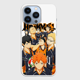 Чехол для iPhone 13 Pro с принтом Крутой волебольная команда из аниме HAIKYUU в Курске,  |  | anime | haikyu | haikyuu | karasuno | аниме | волейбол | ворон | карасуно | манга | мяч | сёё хината