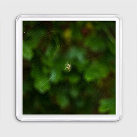 Магнит 55*55 с принтом Паучок в Курске, Пластик | Размер: 65*65 мм; Размер печати: 55*55 мм | spider | web | зелень | лес | макро | паук | паутина | природа