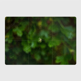 Магнитный плакат 3Х2 с принтом Паучок в Курске, Полимерный материал с магнитным слоем | 6 деталей размером 9*9 см | spider | web | зелень | лес | макро | паук | паутина | природа