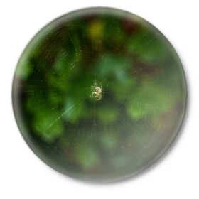 Значок с принтом Паучок в Курске,  металл | круглая форма, металлическая застежка в виде булавки | spider | web | зелень | лес | макро | паук | паутина | природа