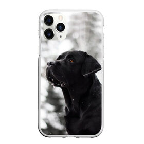 Чехол для iPhone 11 Pro матовый с принтом Лабрадор Марк в Курске, Силикон |  | dog | winter | животные | зима | лабрадор | лабрадор ретривер | снег | собака