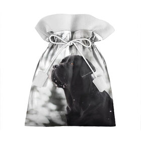 Подарочный 3D мешок с принтом Лабрадор Марк в Курске, 100% полиэстер | Размер: 29*39 см | dog | winter | животные | зима | лабрадор | лабрадор ретривер | снег | собака