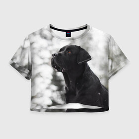 Женская футболка Crop-top 3D с принтом Лабрадор Марк в Курске, 100% полиэстер | круглая горловина, длина футболки до линии талии, рукава с отворотами | dog | winter | животные | зима | лабрадор | лабрадор ретривер | снег | собака