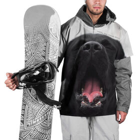Накидка на куртку 3D с принтом Лабр Марк в Курске, 100% полиэстер |  | dog | winter | животные | звери | зима | лабрадор | лабрадор ретривер | собаки
