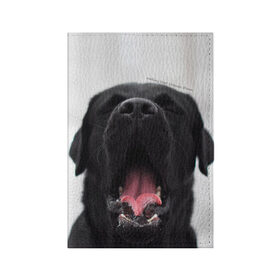 Обложка для паспорта матовая кожа с принтом Лабр Марк в Курске, натуральная матовая кожа | размер 19,3 х 13,7 см; прозрачные пластиковые крепления | dog | winter | животные | звери | зима | лабрадор | лабрадор ретривер | собаки