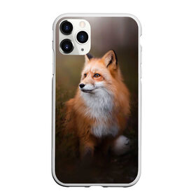 Чехол для iPhone 11 Pro Max матовый с принтом Лиса-охотница в Курске, Силикон |  | fox | foxy | животное | звери | лиса | лисенок | лисичка | милая | рыжая | фокс
