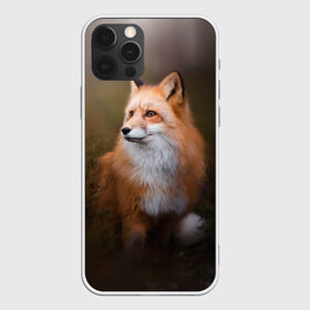 Чехол для iPhone 12 Pro Max с принтом Лиса-охотница в Курске, Силикон |  | fox | foxy | животное | звери | лиса | лисенок | лисичка | милая | рыжая | фокс