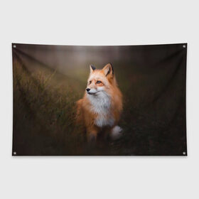 Флаг-баннер с принтом Лиса-охотница в Курске, 100% полиэстер | размер 67 х 109 см, плотность ткани — 95 г/м2; по краям флага есть четыре люверса для крепления | fox | foxy | животное | звери | лиса | лисенок | лисичка | милая | рыжая | фокс