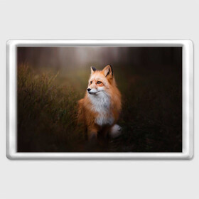 Магнит 45*70 с принтом Лиса-охотница в Курске, Пластик | Размер: 78*52 мм; Размер печати: 70*45 | fox | foxy | животное | звери | лиса | лисенок | лисичка | милая | рыжая | фокс