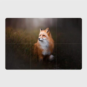 Магнитный плакат 3Х2 с принтом Лиса-охотница в Курске, Полимерный материал с магнитным слоем | 6 деталей размером 9*9 см | fox | foxy | животное | звери | лиса | лисенок | лисичка | милая | рыжая | фокс