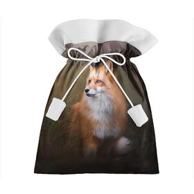 Подарочный 3D мешок с принтом Лиса-охотница в Курске, 100% полиэстер | Размер: 29*39 см | fox | foxy | животное | звери | лиса | лисенок | лисичка | милая | рыжая | фокс