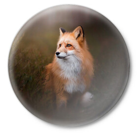 Значок с принтом Лиса-охотница в Курске,  металл | круглая форма, металлическая застежка в виде булавки | fox | foxy | животное | звери | лиса | лисенок | лисичка | милая | рыжая | фокс