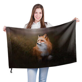 Флаг 3D с принтом Лиса-охотница в Курске, 100% полиэстер | плотность ткани — 95 г/м2, размер — 67 х 109 см. Принт наносится с одной стороны | fox | foxy | животное | звери | лиса | лисенок | лисичка | милая | рыжая | фокс